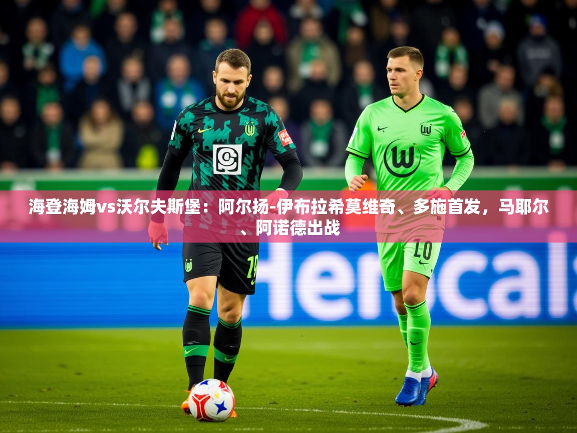 2025米兰体育电脑版官网海登海姆vs沃尔夫斯堡：阿尔扬-伊布拉希莫维奇、多施首发，马耶尔、阿诺德出战