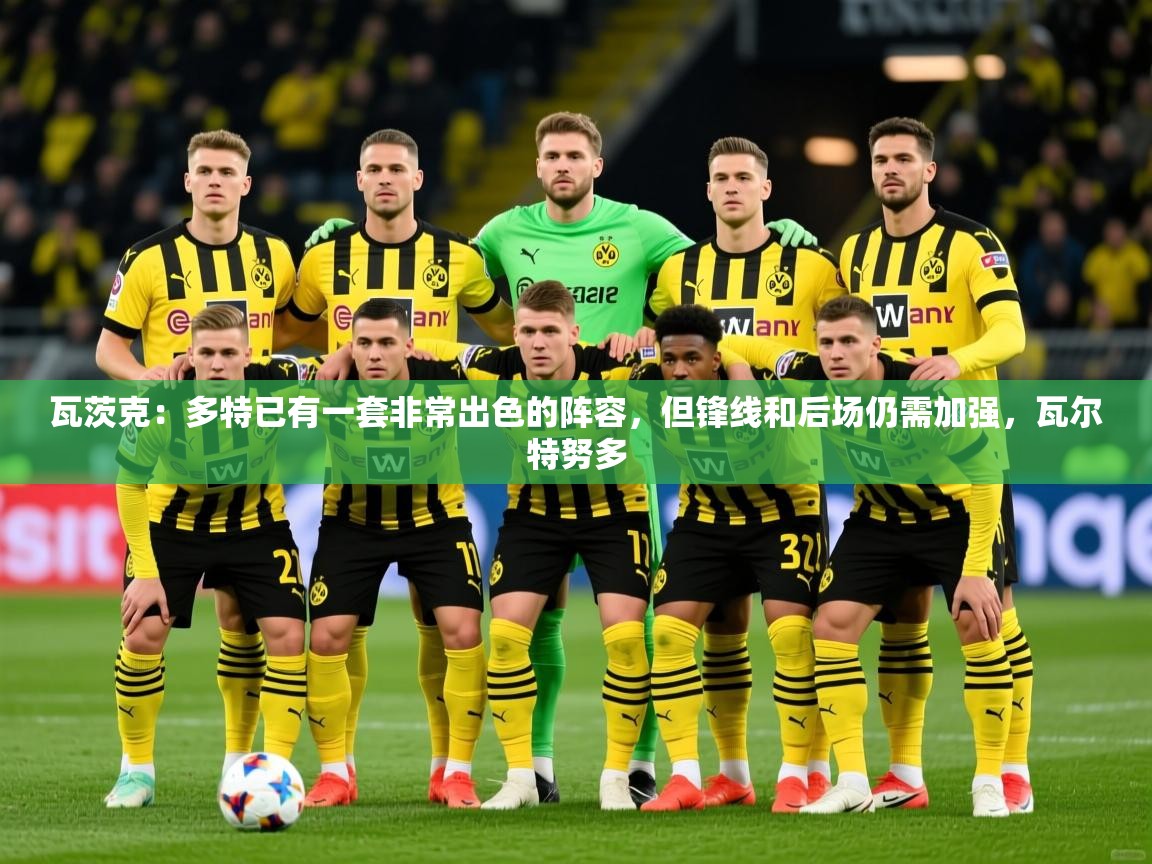 2025米兰体育瓦茨克:多特已有一套非常出色的阵容,但锋线和后场仍需加强,瓦尔特努多 第2张