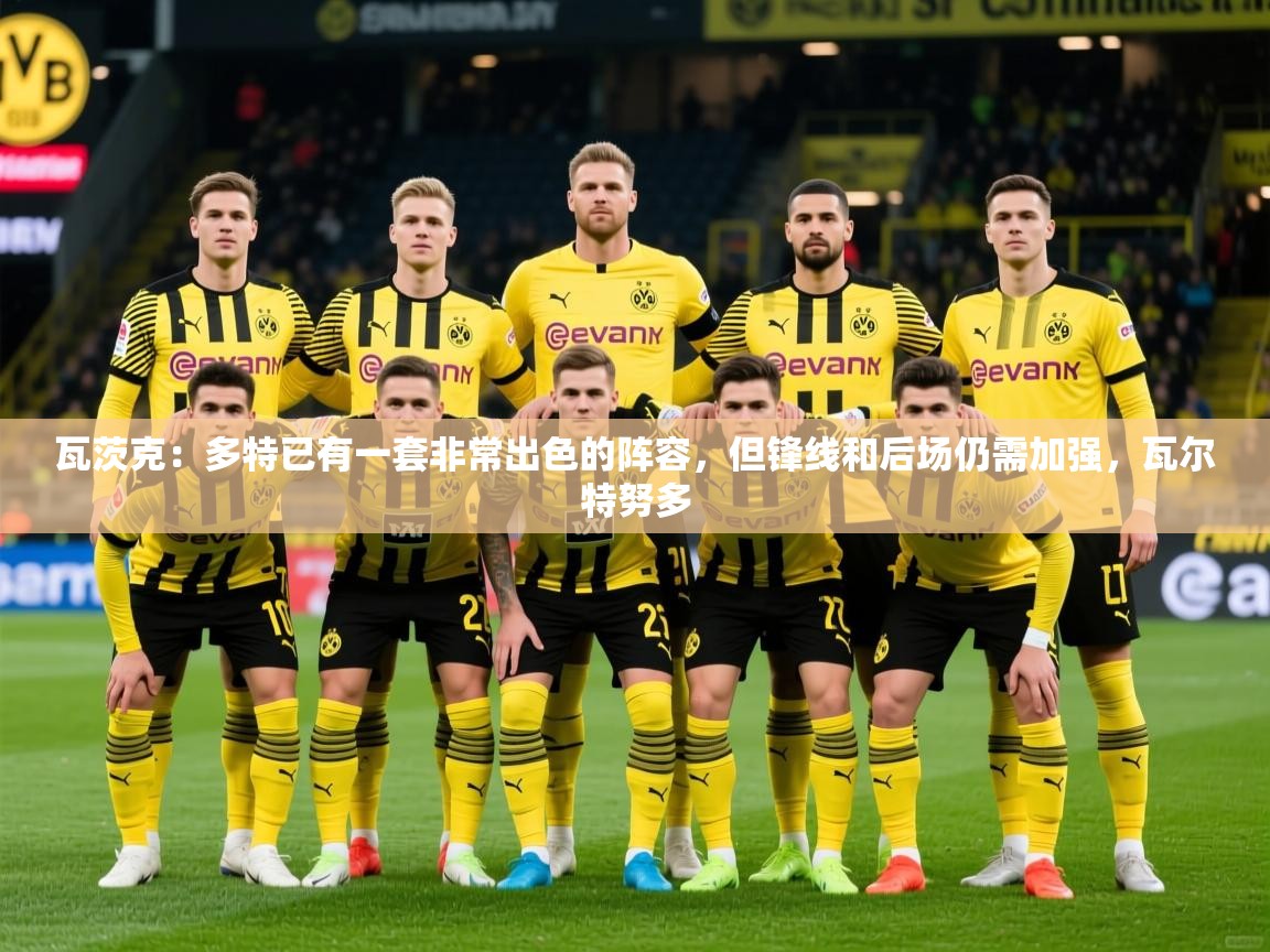 2025米兰体育瓦茨克:多特已有一套非常出色的阵容,但锋线和后场仍需加强,瓦尔特努多 第3张