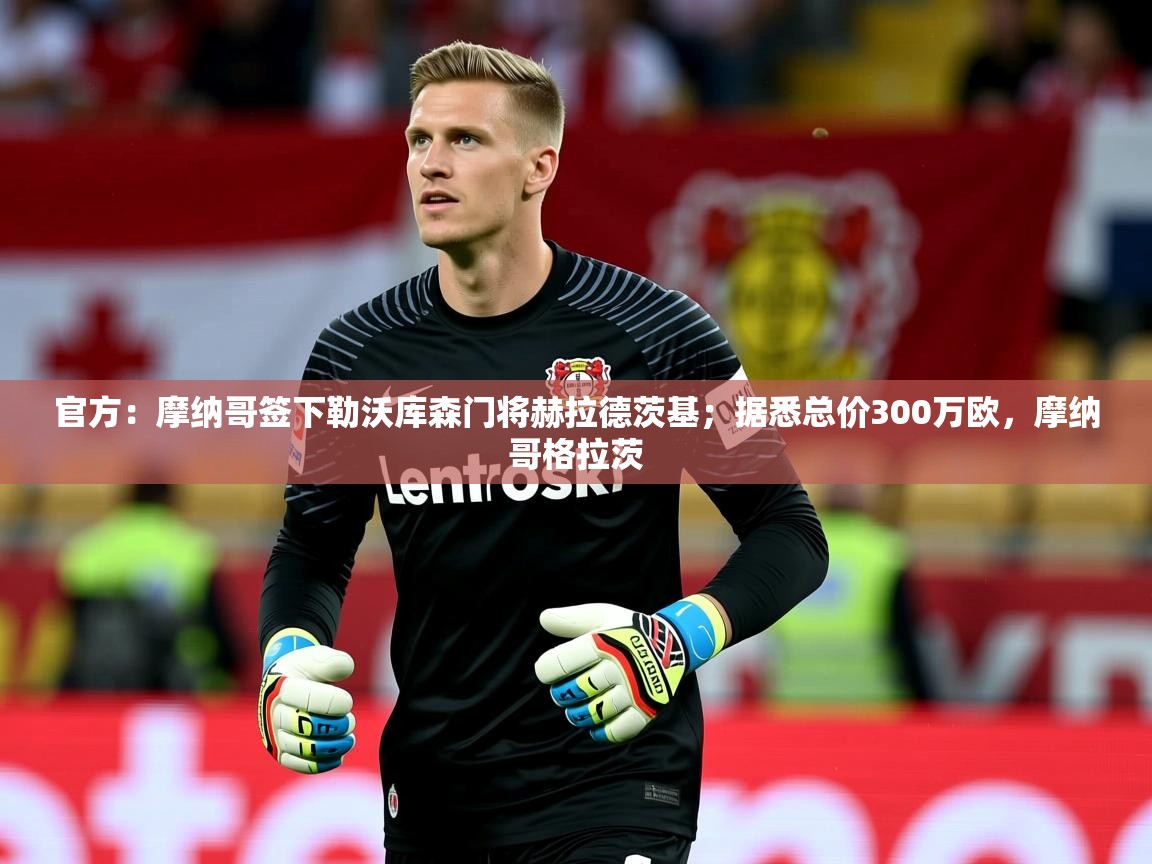 2025米兰体育官方有实力官方：摩纳哥签下勒沃库森门将赫拉德茨基；据悉总价300万欧，摩纳哥格拉茨  第3张