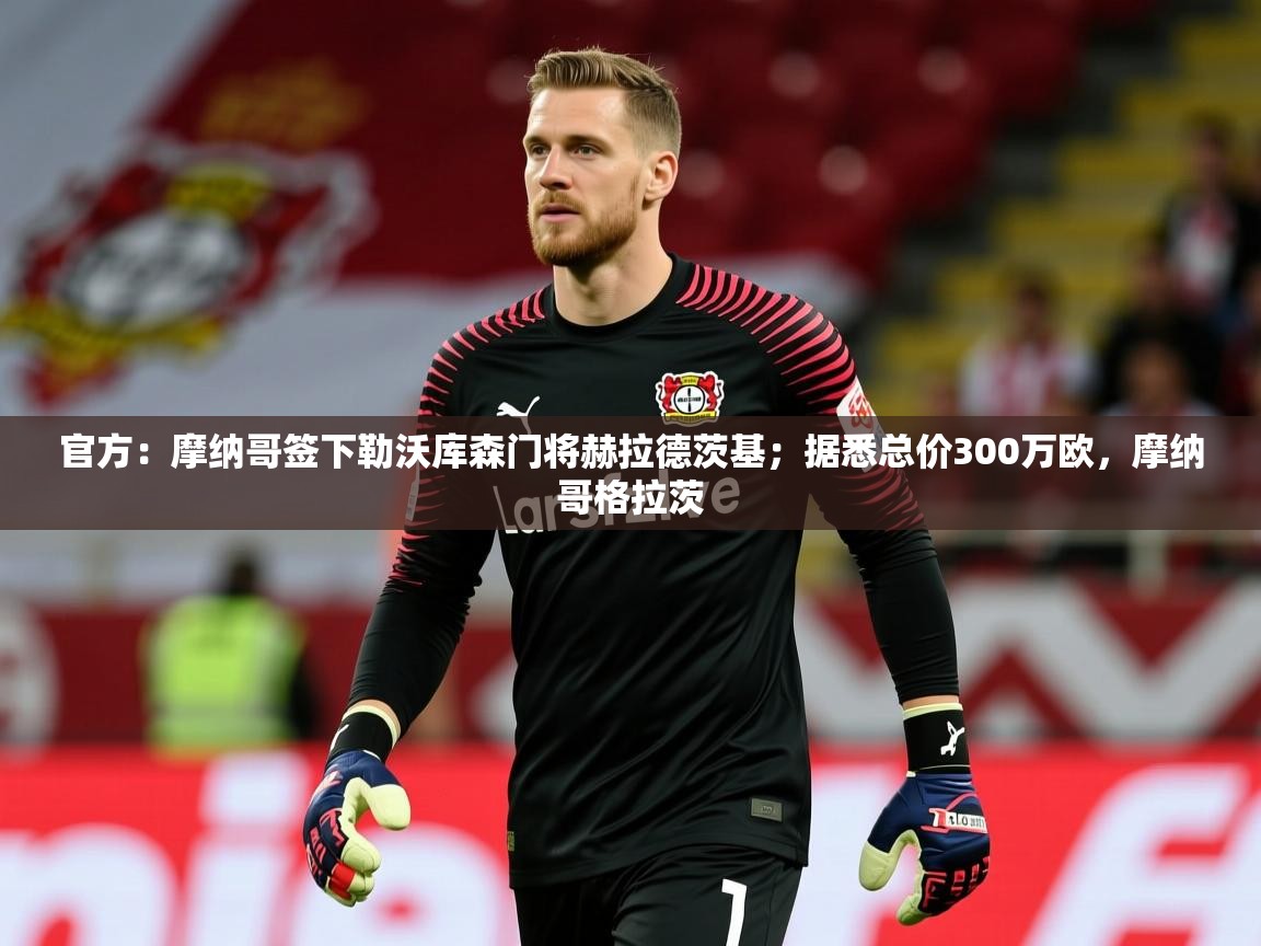 2025米兰体育官方有实力官方：摩纳哥签下勒沃库森门将赫拉德茨基；据悉总价300万欧，摩纳哥格拉茨  第2张