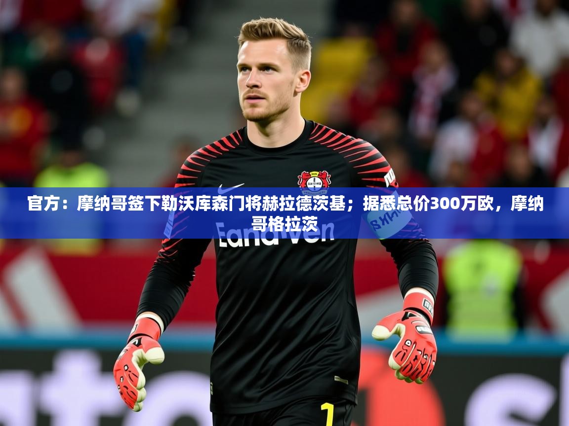 2025米兰体育官方有实力官方：摩纳哥签下勒沃库森门将赫拉德茨基；据悉总价300万欧，摩纳哥格拉茨  第4张