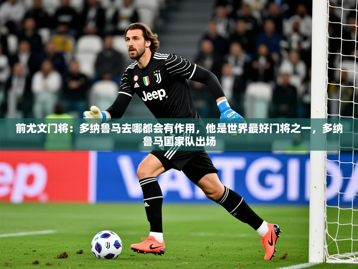 2025米兰体育网页版登录前尤文门将:多纳鲁马去哪都会有作用,他是世界最好门将之一,多纳鲁马国家队出场 第3张