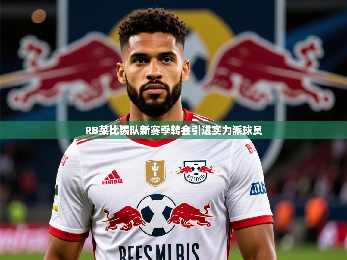 2025米兰体育官网网页版网页RB莱比锡队新赛季转会引进实力派球员  第4张
