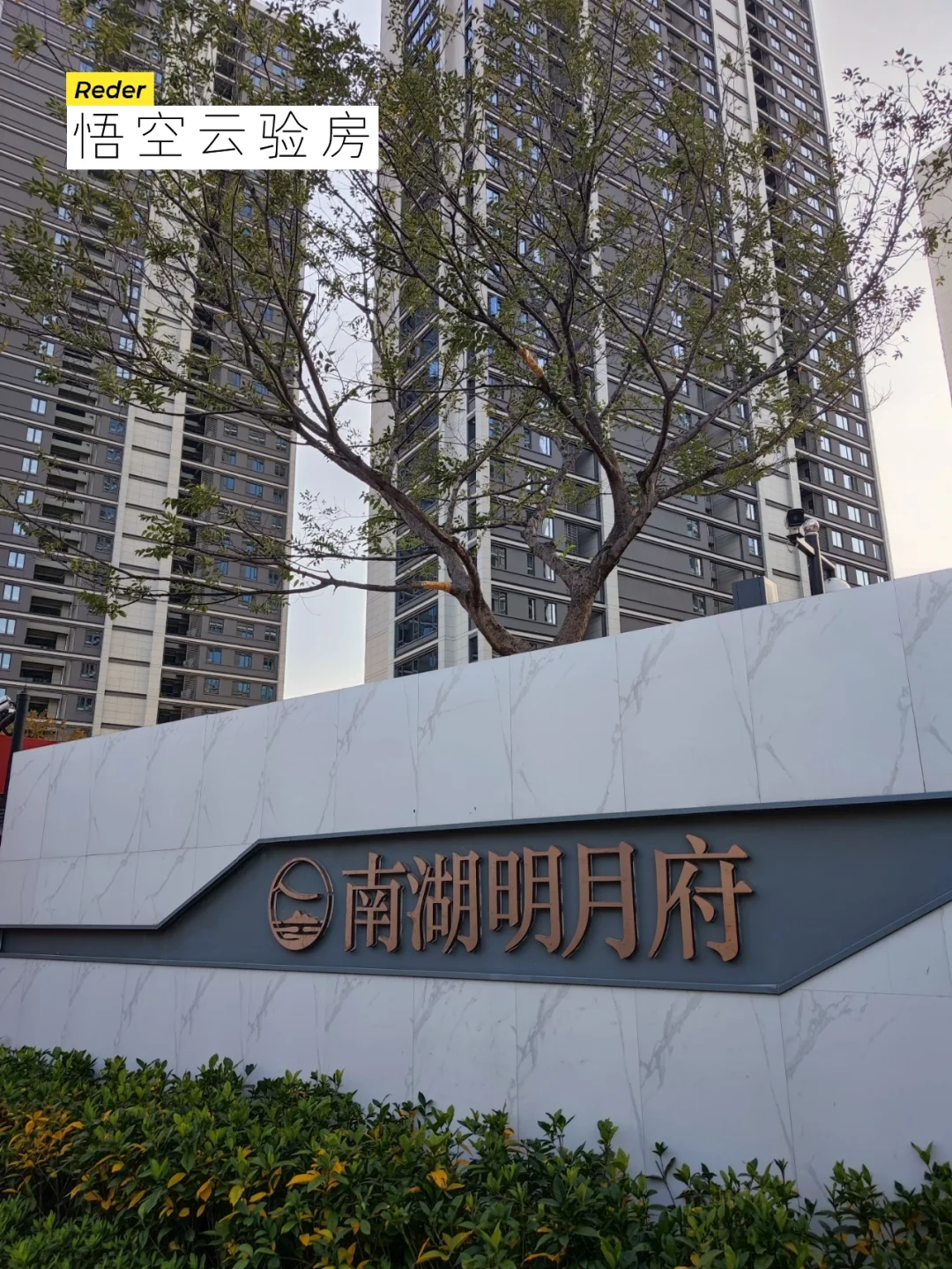 米兰体育在线登录-杭州绿城登顶胜场，喜悦无限
