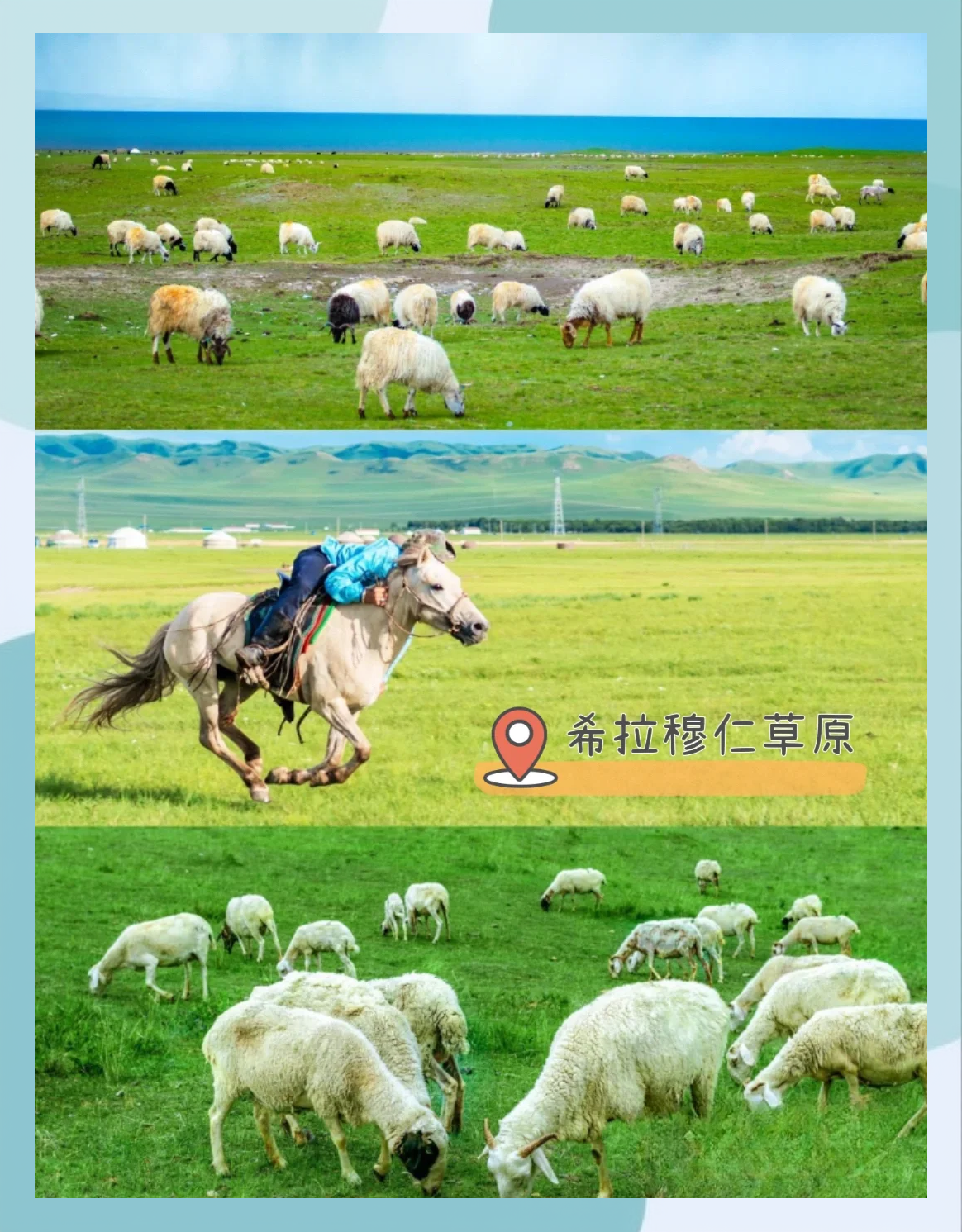 米兰体育网页版-鄂尔多斯大草原豪取五连胜，士气高昂的简单介绍